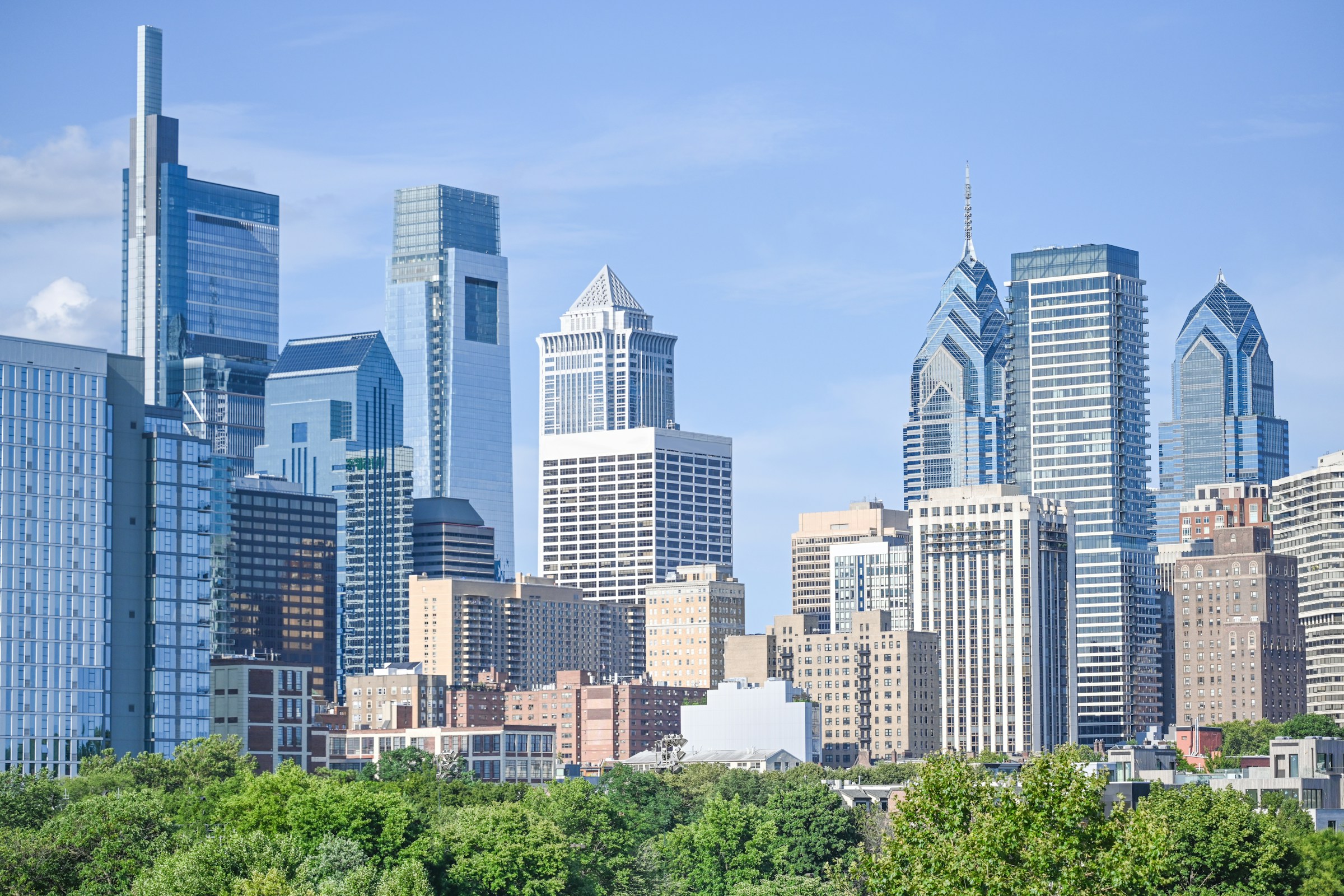 Professional tax representation services